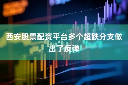 西安股票配资平台多个超跌分支做出了反弹