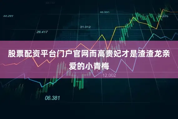 股票配资平台门户官网而高贵妃才是渣渣龙亲爱的小青梅