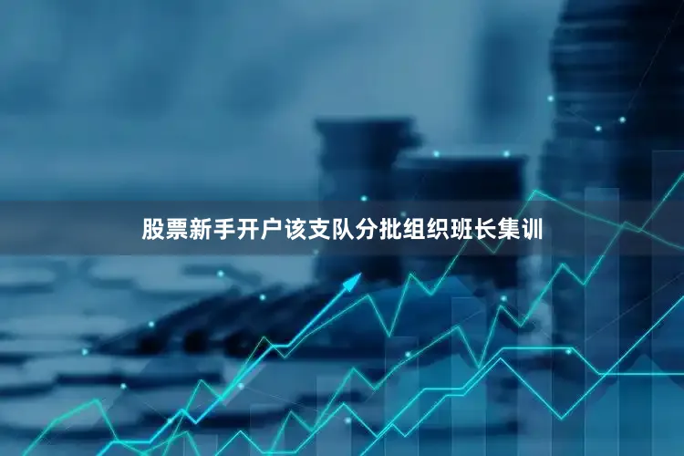 股票新手开户该支队分批组织班长集训