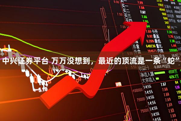 中兴证券平台 万万没想到,最近的顶流是一条“蛇”