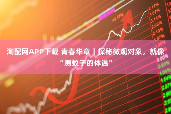 淘配网APP下载 青春华章｜探秘微观对象，就像“测蚊子的体温”